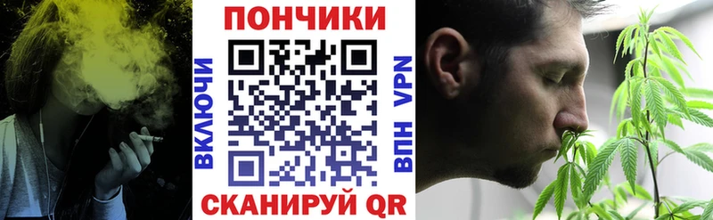 Псилоцибиновые грибы Лодейное Поле