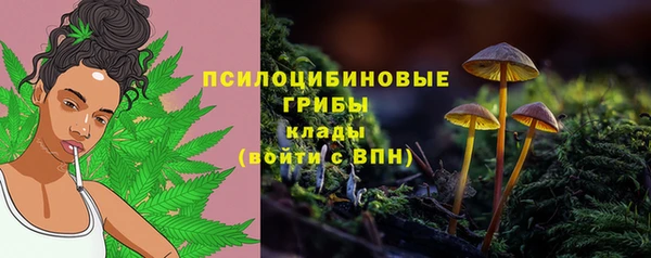 СК Каменногорск