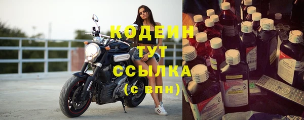 СК Каменногорск