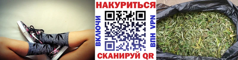Купить закладки  Лодейное Поле  Марихуана план 